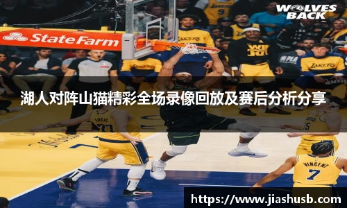 湖人对阵山猫精彩全场录像回放及赛后分析分享